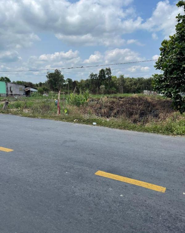 Bán Đất nền riêng lẻ 1696m²