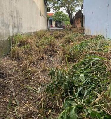 Bán Đất nền riêng lẻ 166m²