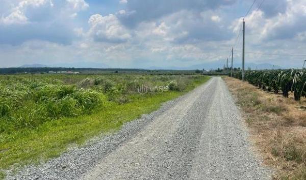 Bán đất nông 🏚️ nghiệp Gần Biển Hàm Thuận Nam