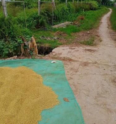 HIẾM – ĐẤT CHUYỂN ĐỔI GẦN 2000M² TẠI ĐÔNG HƯNG, THÁI BÌNH – Ô 🏦 TÔ VÀO TẬN NƠI – GIÁ CHỈ