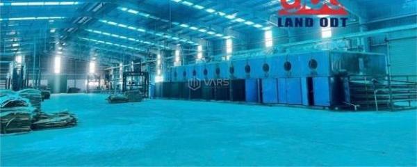 Chủ cho thuê Nhà xưởng, nhà kho 14000m²