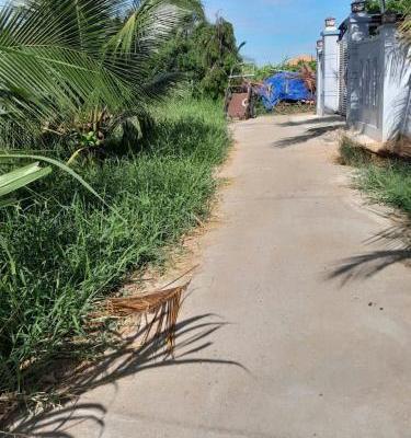 💥 CHỈ 🏡 1,5 TỶ - SỞ HỮU NGAY 1500M² ĐẤT VƯỜN DỪA ĐẸP 💥