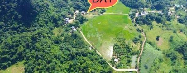 Cần bán gấp lô đất tại xã mường hoa 🏘️ -phú thọ