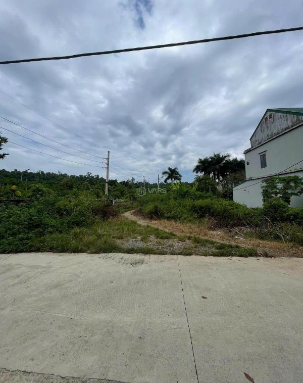 Cần bán Trang trại, nhà vườn 720m²