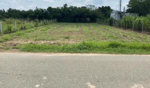 CẦN 🏤 THANH LÝ NỀN ĐẤT (10X40=400M2) ĐẤT THỔ CƯ MT ĐH 504 DÂN ĐÔNG SÁT CHỢ GIÁ 700 TR