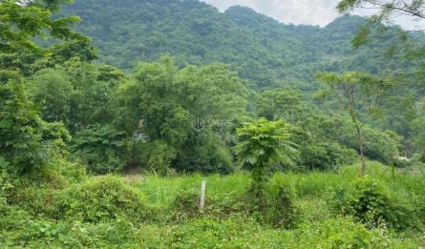 📌 🏠 BÁN LÔ ĐẤT CỰC ĐẸP – BÁM SUỐI – GẦN QL 12B – KIM BÔI, HÒA BÌNH