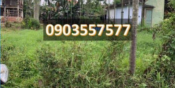 Cần bán Đất nền riêng lẻ 310m²