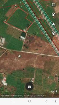 🌳 BÁN 1,6HA ĐẤT CÂY TRỒNG – XUÂN ĐIỀN, HÀM HIỆP (TP. PHAN THIẾT). GIÁ 8,8 ☘ Tỷ