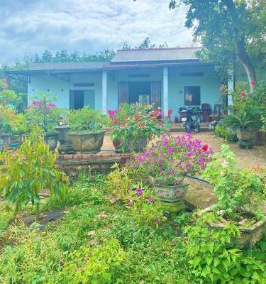 Chú Tám cần bán đất vườn trái cây sẳn nhà cấp 4 ở Bình Dương, rộng 2541m2, 🌊 thổ cư, giá rẻ