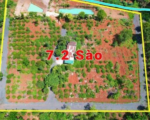 7,2 Sào Gần Nguyễn Thị Định Cách Ngã 6 Khoảng 7,5Km Sẵn Vườn 🌊 Ao Và Nhà Chỉ 4,5 Tỷ Quỳnh An