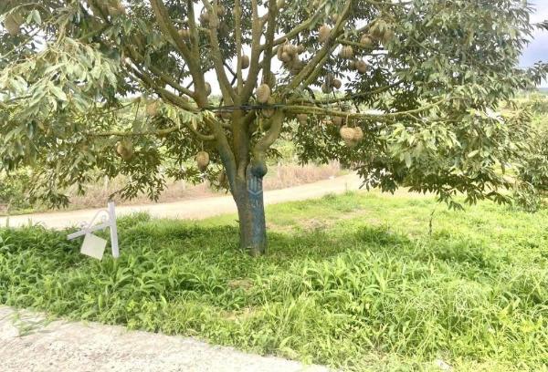 Chủ cần bán Đất nền riêng lẻ 160m²