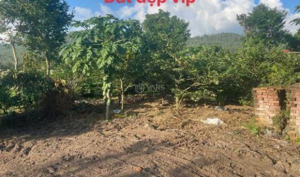 Cần bán Đất nền riêng lẻ 400m²