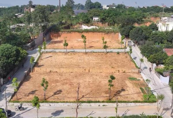 💸 cơ 💥 hội đầu tư siêu phẩm đất nền tại đông triều chỉ với 1t