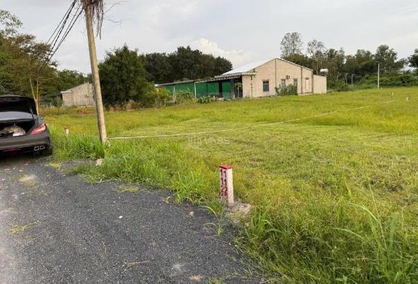 Buôn đất bán vàng cơ hội đầu tư an tâm lúc 🏚️ này