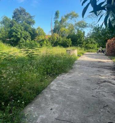 Chủ cần bán Đất nền riêng lẻ 610m²