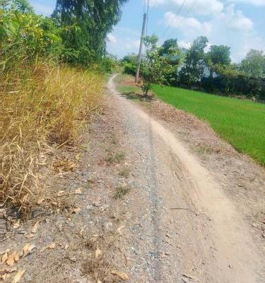 B.á.n 2,6 công đất cây giá 600tr hết đất tại Gò 🏦 Công Đông, Tiền Giang cũ