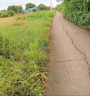 Bán (70x50) ruộng, bêtông ôtô cặp kênh Trần Văn Dõng - Bình Ân, 🏡 Gò Công Đông, Tiền Giang
