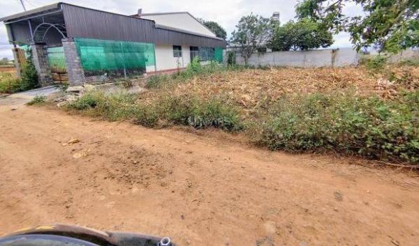 Cần bán Đất nền riêng lẻ 130m²