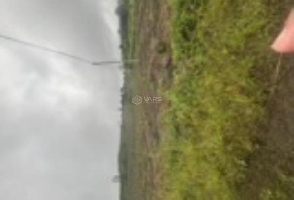 Đất cà phê oôt gầm thấp tận nơi hướng 🌊 nam