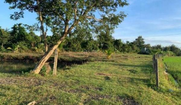 Bán 2,4 Sào Thổ Cư 400 View Ruộg Cách Đường Nhựa 🏠 700M Buôn Tiêu Xã Eatieu 1,2 Tỷ Quỳnh Anh