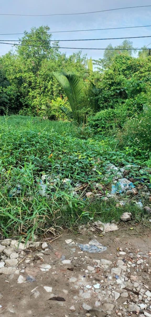 Bán Trang trại, nhà vườn 162m²