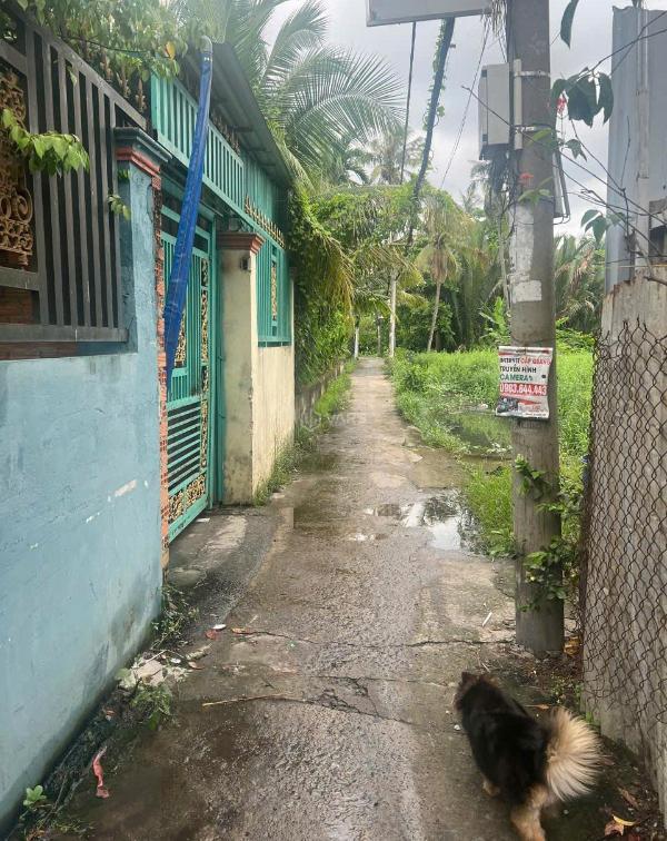 Cần bán Đất nền riêng lẻ 226m²