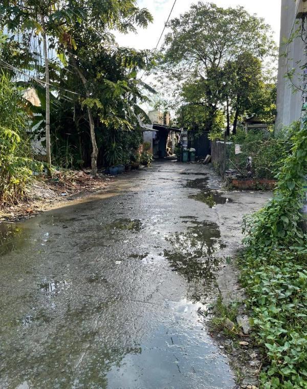 🌿 đất 🏦 vuông đẹp, dân cư hiện hữu gần chợ ,trường học giá chỉ 6.3 tỷ