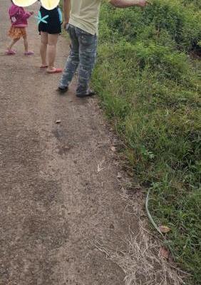 Bán Đất 👍 Sổ Riêng Thổ Cư Gần Đường Sông Nhạn Dầu Giây. Giá 440TR.