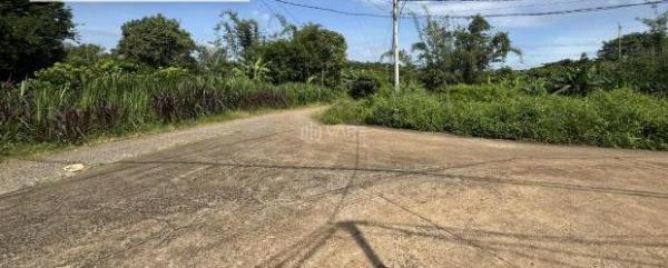 Đất Xây Biệt Thự Giá Cực Rẻ gần KCN Lớn 🔥 Nhất Đồng Nai