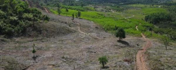 bán đất xã Khánh Phú, Khánh Vĩnh giá 👍 chỉ 57k/m2 rộng 17 hecta đường oto làm trang trại