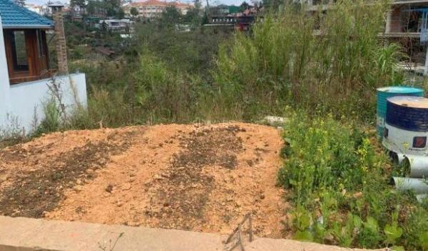 Đất 💥 Tô Hiến Thành – Vị Trí Vàng Giữa Trung Tâm Phường 3, Tp. Đà Lạt, Diện Tích Rộng