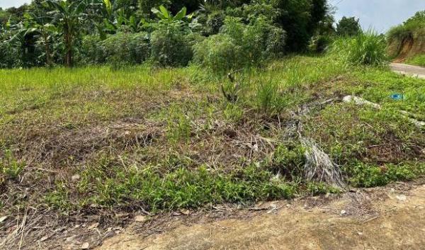 Chủ cần bán Đất nền riêng lẻ 200m²