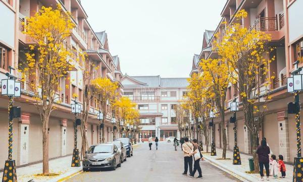 Bán biệt thự liền 🏬 kề tại ocp2 3 giá 12,4tỷ