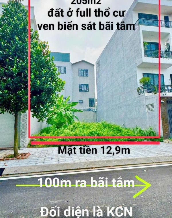 Em đăng hộ mảnh đát đối diện kcn biển quất 💥 lâm - 205m2 giá hơn 1 tỷ