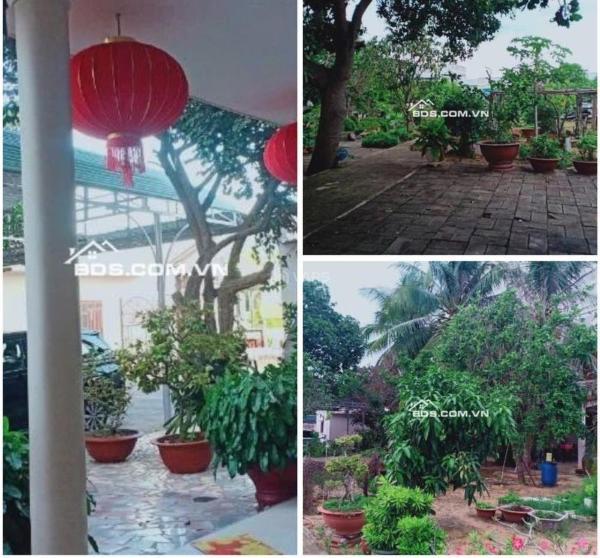 Cần bán lô đất 🏡 siêu vip tại tp. phan thiết, tỉnh bình thuận