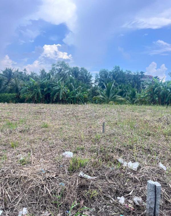 Bán đất thổ cư đối diện ubnd phường sơn đông tỉnh vĩnh long 🆘 (mới)