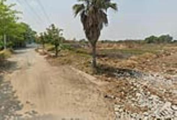 Chủ cần bán Đất nền riêng lẻ 955m²