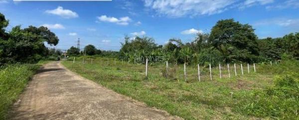 HƠN ☘ 500M2 ĐẤT VƯỜN CÓ SẴN 230M THỔ CƯ XÂY NHÀ VƯỜN QUÁ ĐẸP