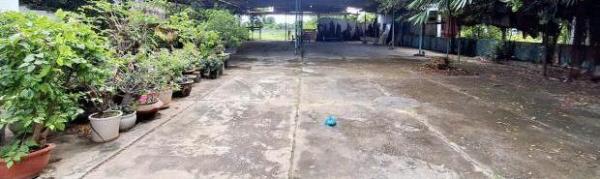 🏖Bán Gấp Mặt tiền Âu Cơ, Tiến Thạnh 1855m2 (có 550 ☘ thổ cư). Giá 18 tỷ