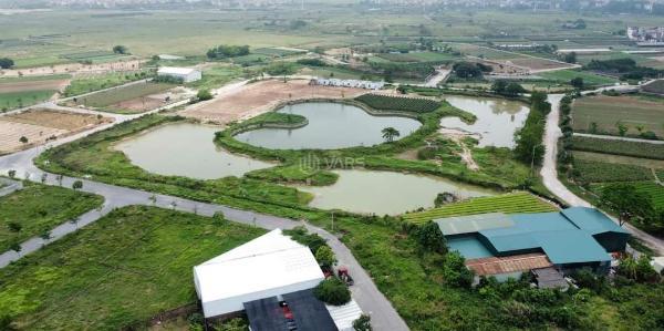 Cần bán đất biệt thự 375m2 kđt cienco5 mê linh(cạnh dự án 🏬 sun group 205ha)