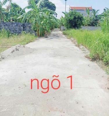 Bán Đất nền riêng lẻ 83m²