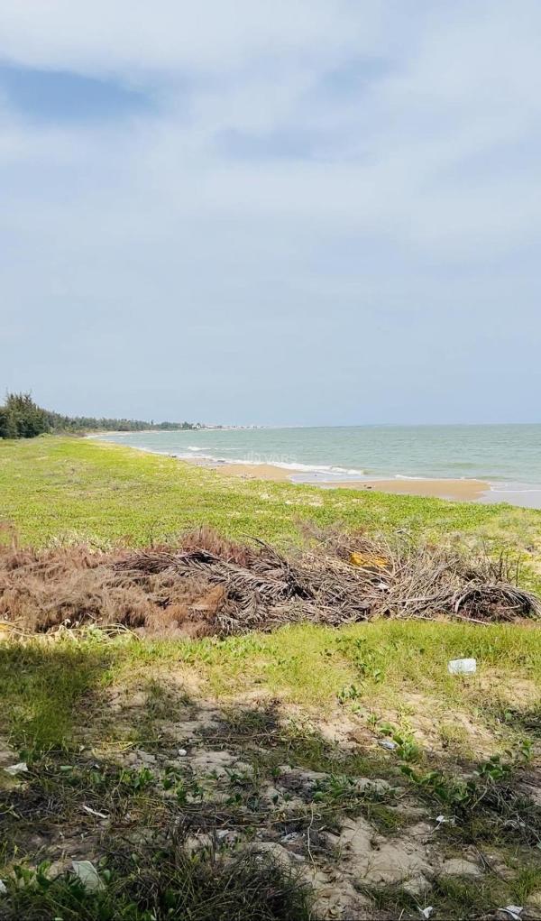 Bán nhanh lô đất view biển giá rẻ bình 🏚️ thuận