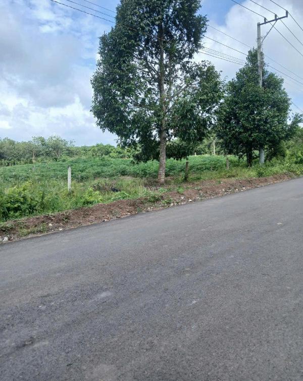 Bán đất mặt tiền đường nhựa dh504 giá ☘ chỉ 1 4 tỷ