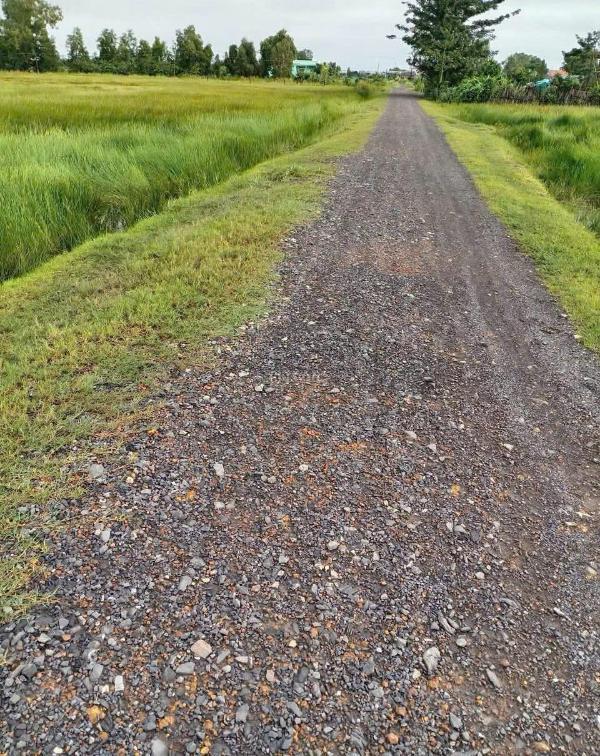 Cần bán Trang trại, nhà vườn 1000m²