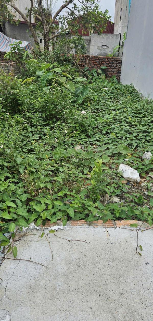 Bán Đất nền riêng lẻ 52m²