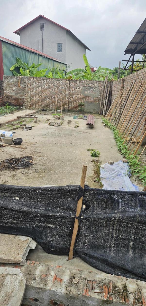 🔥bán 136m2 đất hà phong, liên hà giá cực tốt sát 🏚️ hồ điều hoà, nvh thôn