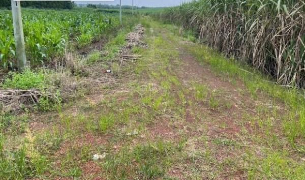 Cần bán Đất nền riêng lẻ 2400m²