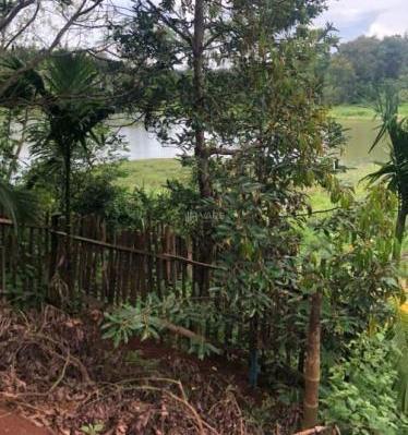 2,1 Sào 🏦 View Hồ Đạt Lý 61X38M săn nhà Cực Đẹp Hẻm 11A Chỉ 3,89 Tỷ Quỳnh Anh