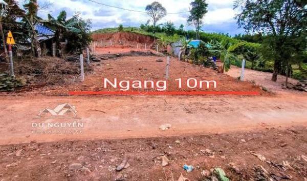 Bán đất Khánh Đông giá rẻ mặt đường 🏚️ bê tông liên thôn liên xóm