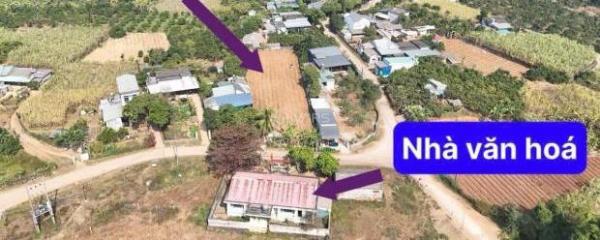 SỞ HỮU NGAY 🏡 LÔ ĐẤT ĐẸP - GIÁ TỐT - Vị Trí Đắc Địa Tại Cao Phong, Hoà Bình